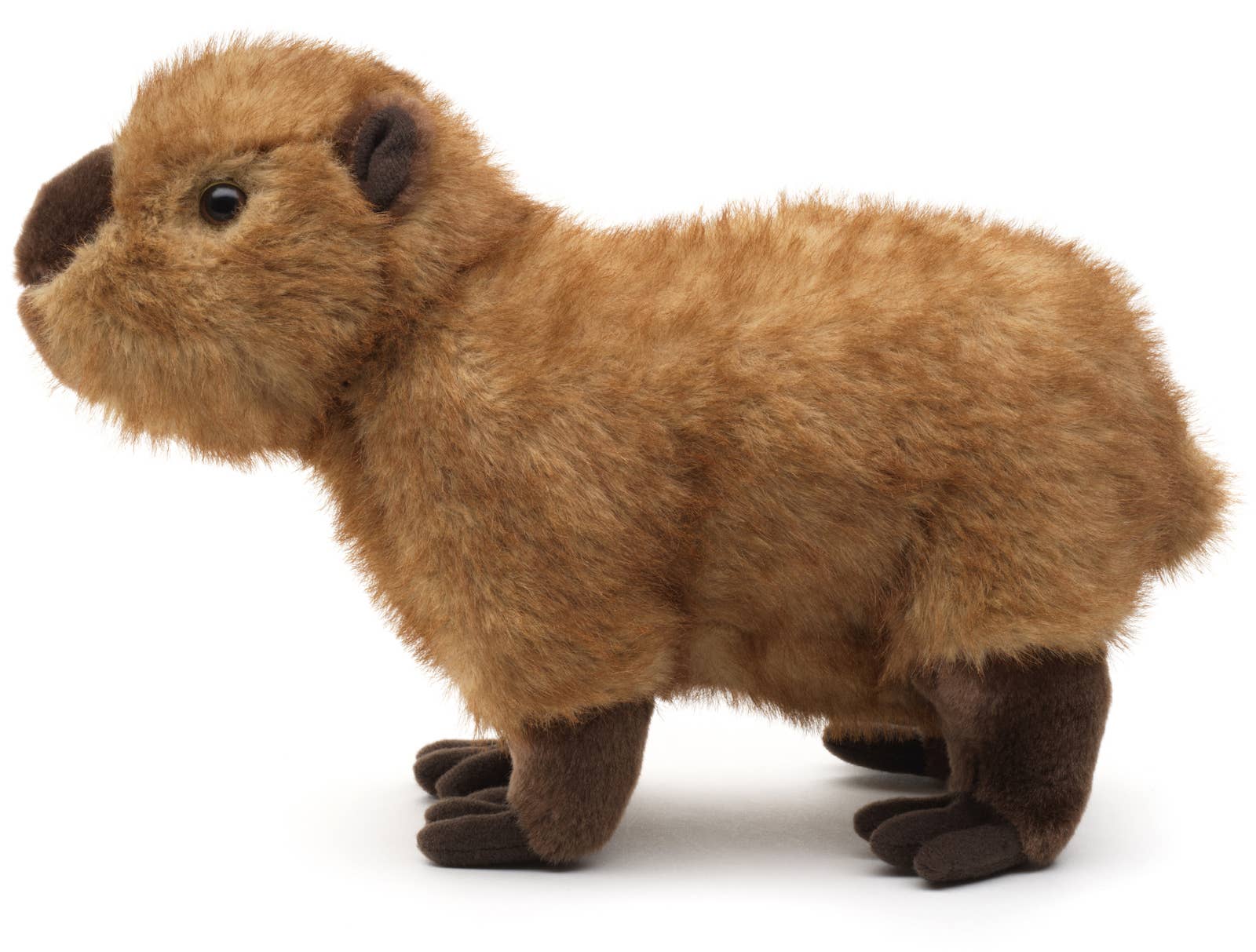 Uni Toys - Wholesale Stuffed/Plush Toy - Kids & Baby - Capybara, standing - 27 cm (length) - Cuddle/Plush toy2