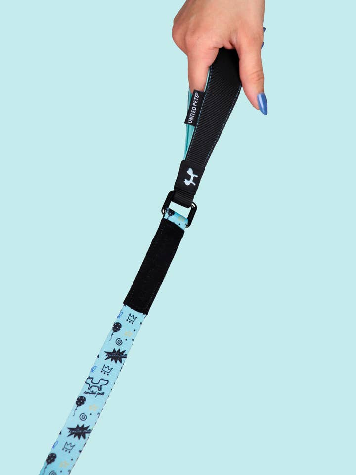 Guinzaglio in nylon con dettagli in acciaio inossidabile per la vendita all'ingrosso da parte di United Pets