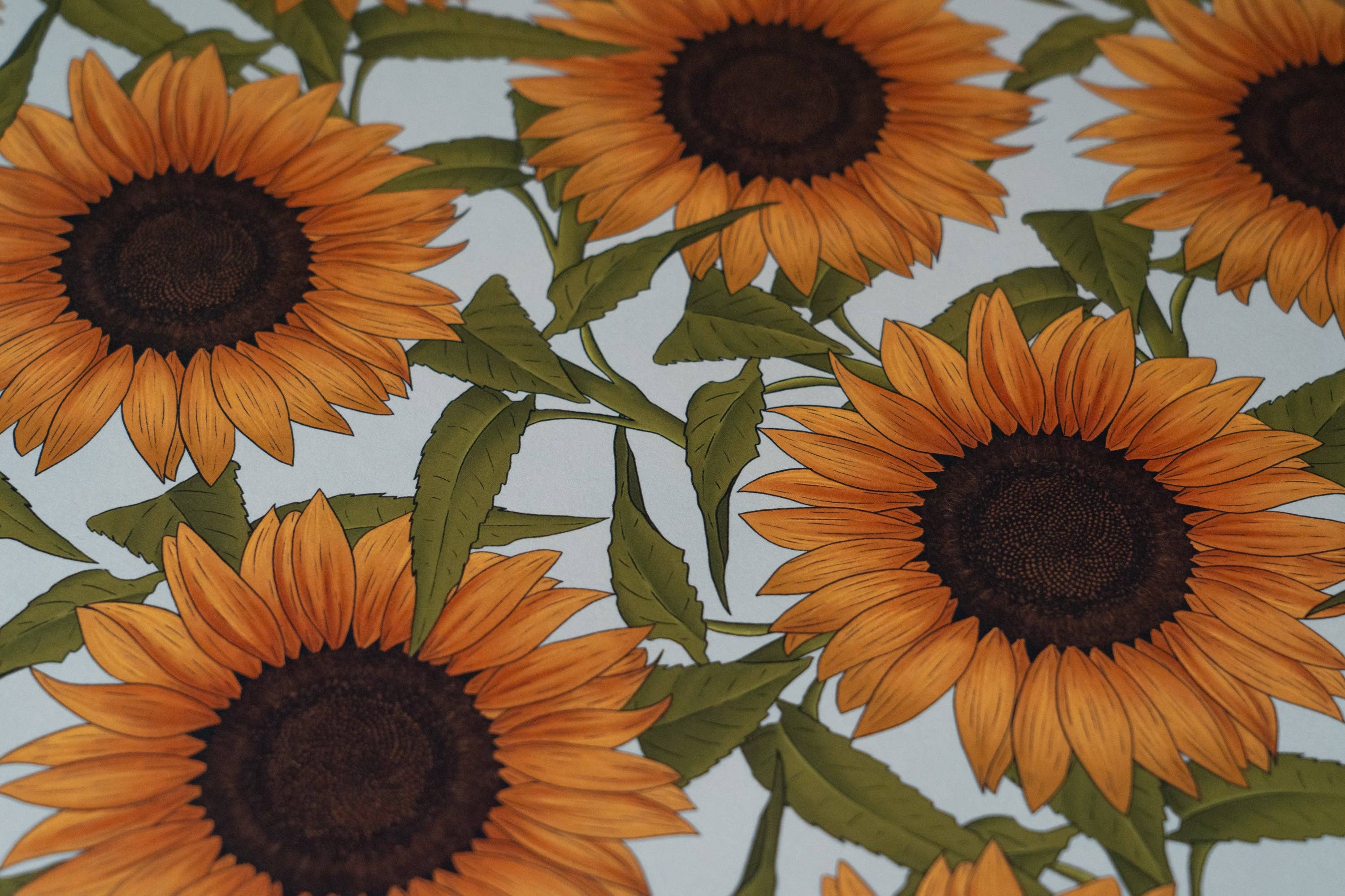 Hayley Jade Design Studio - Wholesale Flat Wrap - Sunflower Wrapping Paper2
