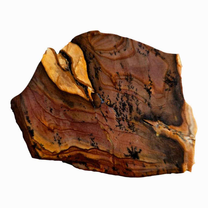 Gammal lager lila Biggs Picture Jasper skiva lapidarsten skiva skuren sten för wholesale av Lapidary Central