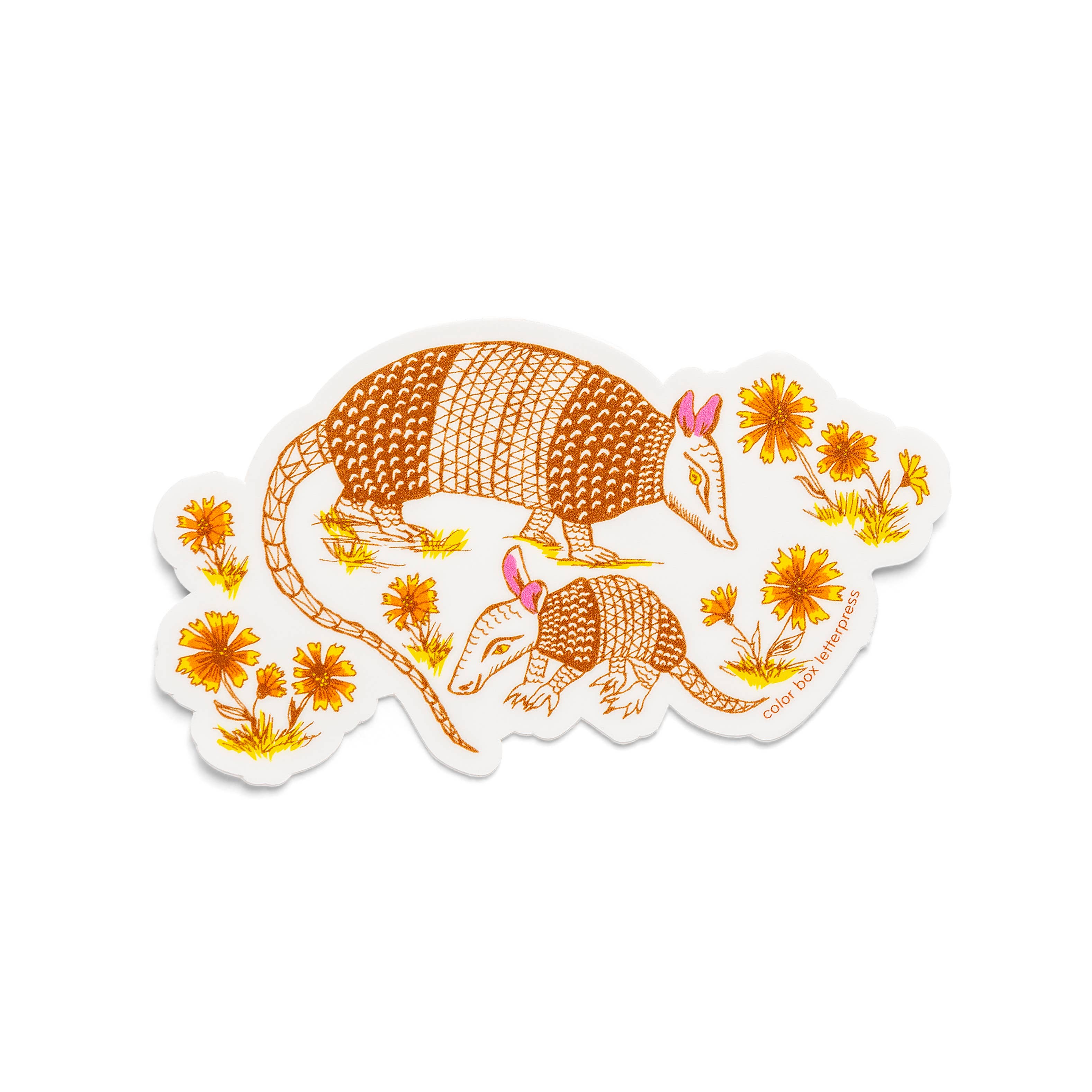 Color Box Design & Letterpress - Vente Autocollant - Armadillo | Autocollant0