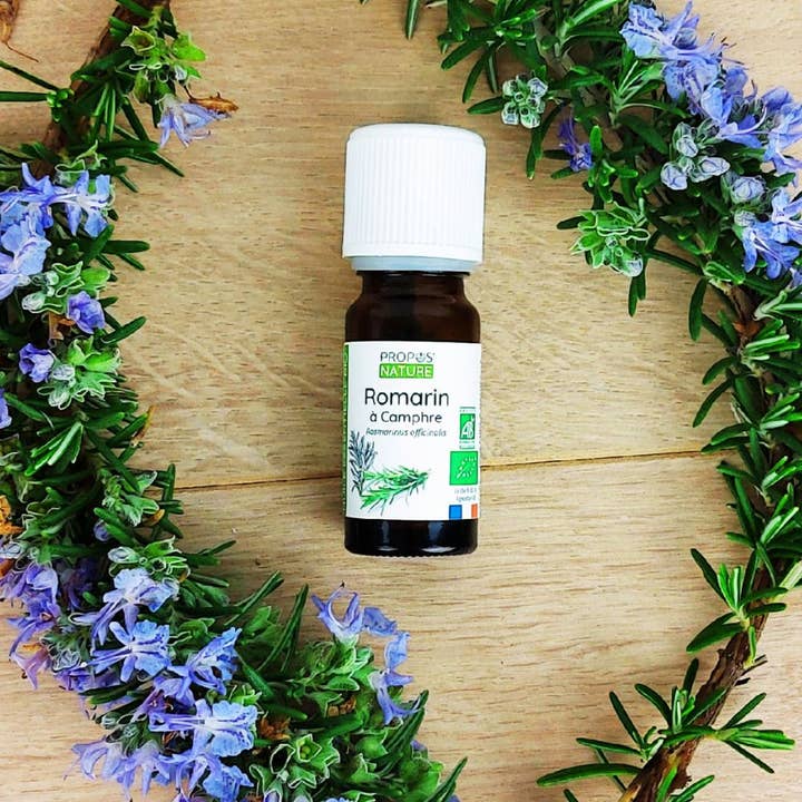 Propos'Nature - Venta al por mayor Aceite esencial - Aceite Esencial Romero a Alcanfor Bio 10ml
