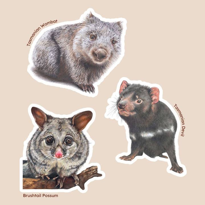 Dyreliv 2 - Sæt med 3 klistermærker for engroshandel hos Hayley Wilson