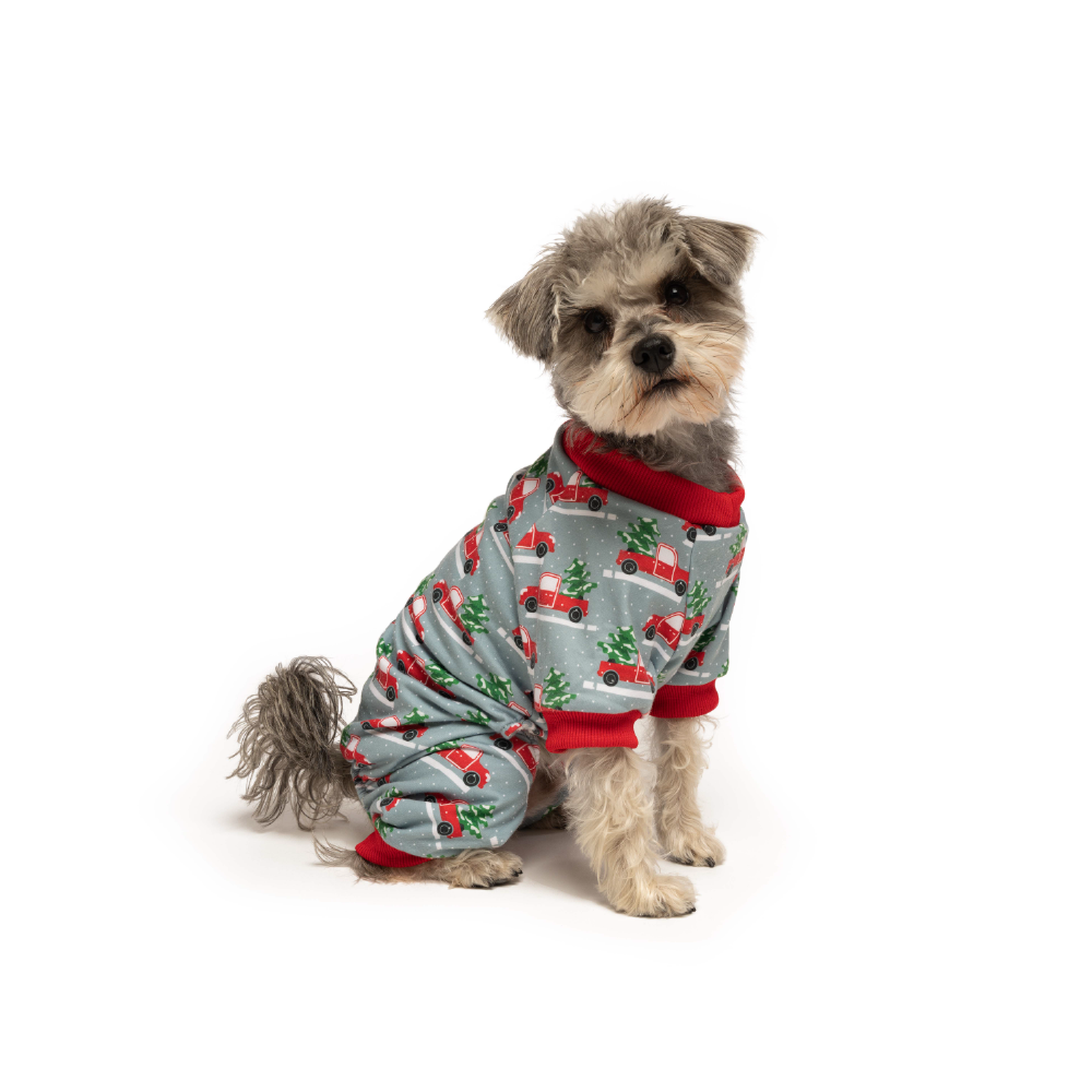 fabdog - Wholesale Pet Pajamas - Dog - X-Mas Truck Onesie3