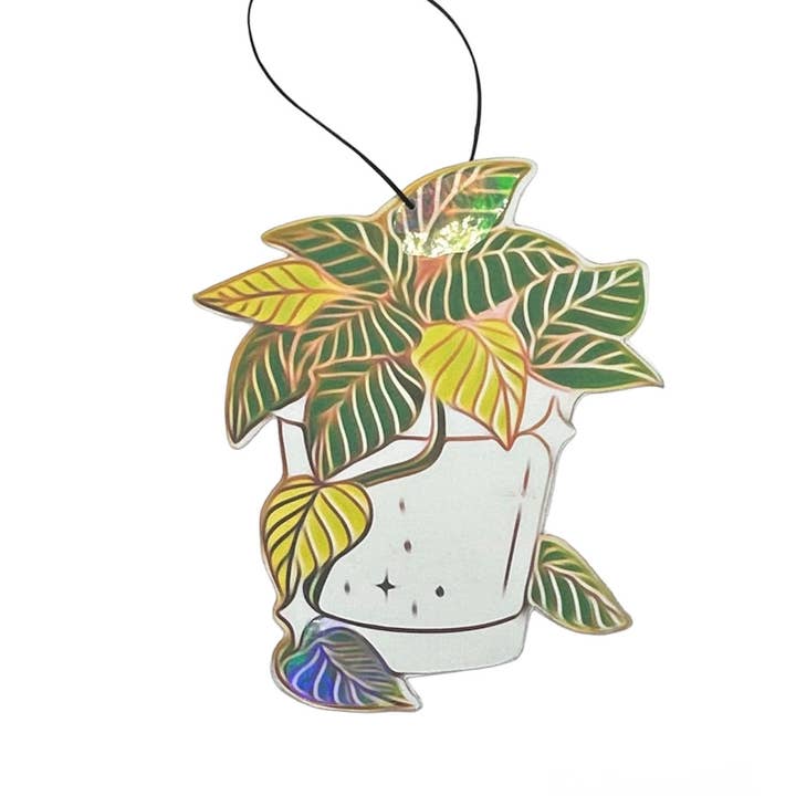 airWheres - Wholesale Car Freshener - Women's - Car Air Freshener Set House Plants Lover Gift Birthday3