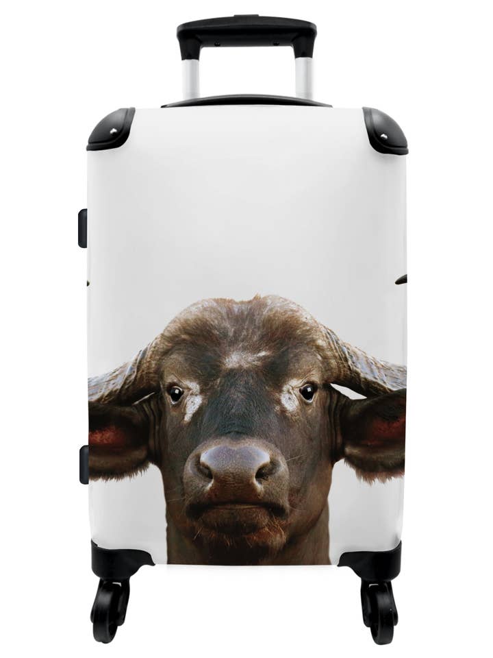 Koffer - Buffel - Koe - Close up - Hoorns voor wholesale door MuchoWow