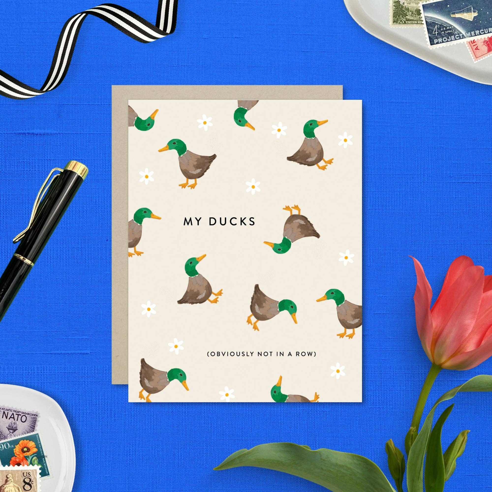 Barone and Co. - Wholesale Everyday Greeting Card - My Ducks Funny Greeting Card4