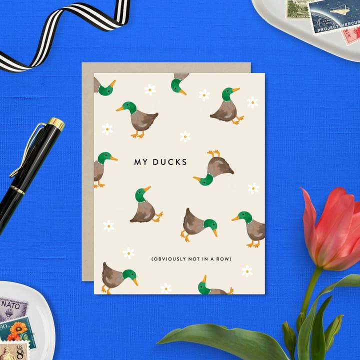 Barone and Co. - Wholesale Everyday Greeting Card - My Ducks Funny Greeting Card4