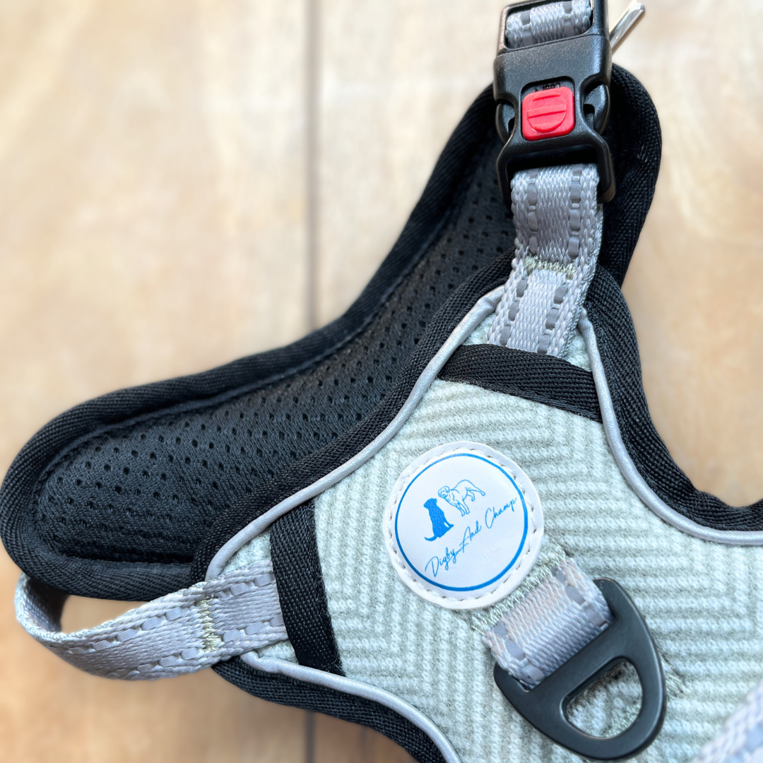 Digby and Champ – wholesale Pet harness – Dog – Sage Green Tweed Padded Dog Harness1