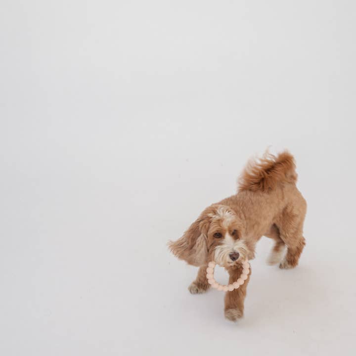 dexypaws - Wholesale Pet Chew Toy - Dog - 2 x Ring Aggressive Chew Toy Set - Nude & Black5