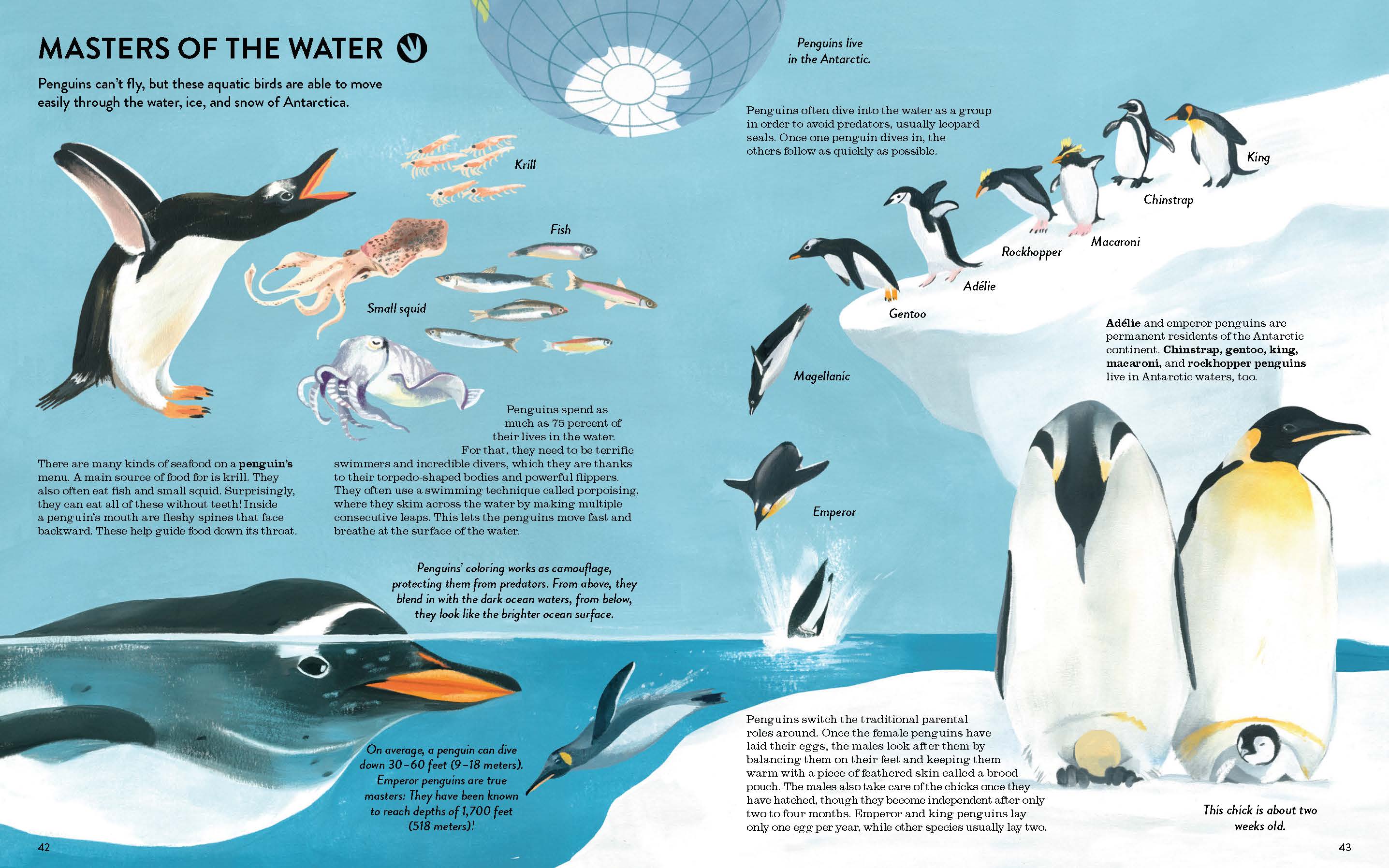 gestalten - Vente Nature & Outdoors - Penguins and Polar Bears10