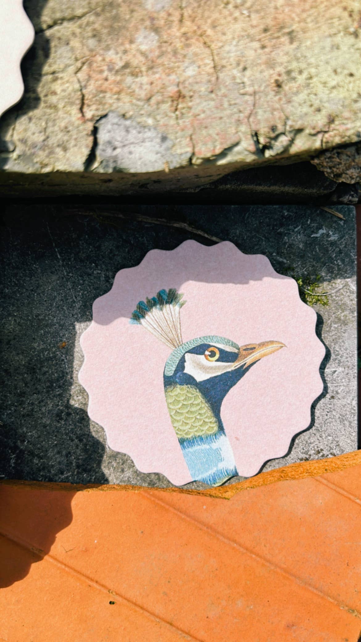 30x40 - Wholesale Coasters - Coaster Set Good Vibes 🍀🐓🐢 UPDATE - New Designs4