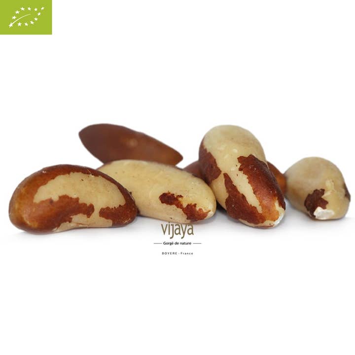VIJAYA - SAS J.L. BOYERE - Vendita all'ingrosso Frutta secca - Noci del Brasile - BOLIVIA - 20kg - Bio*