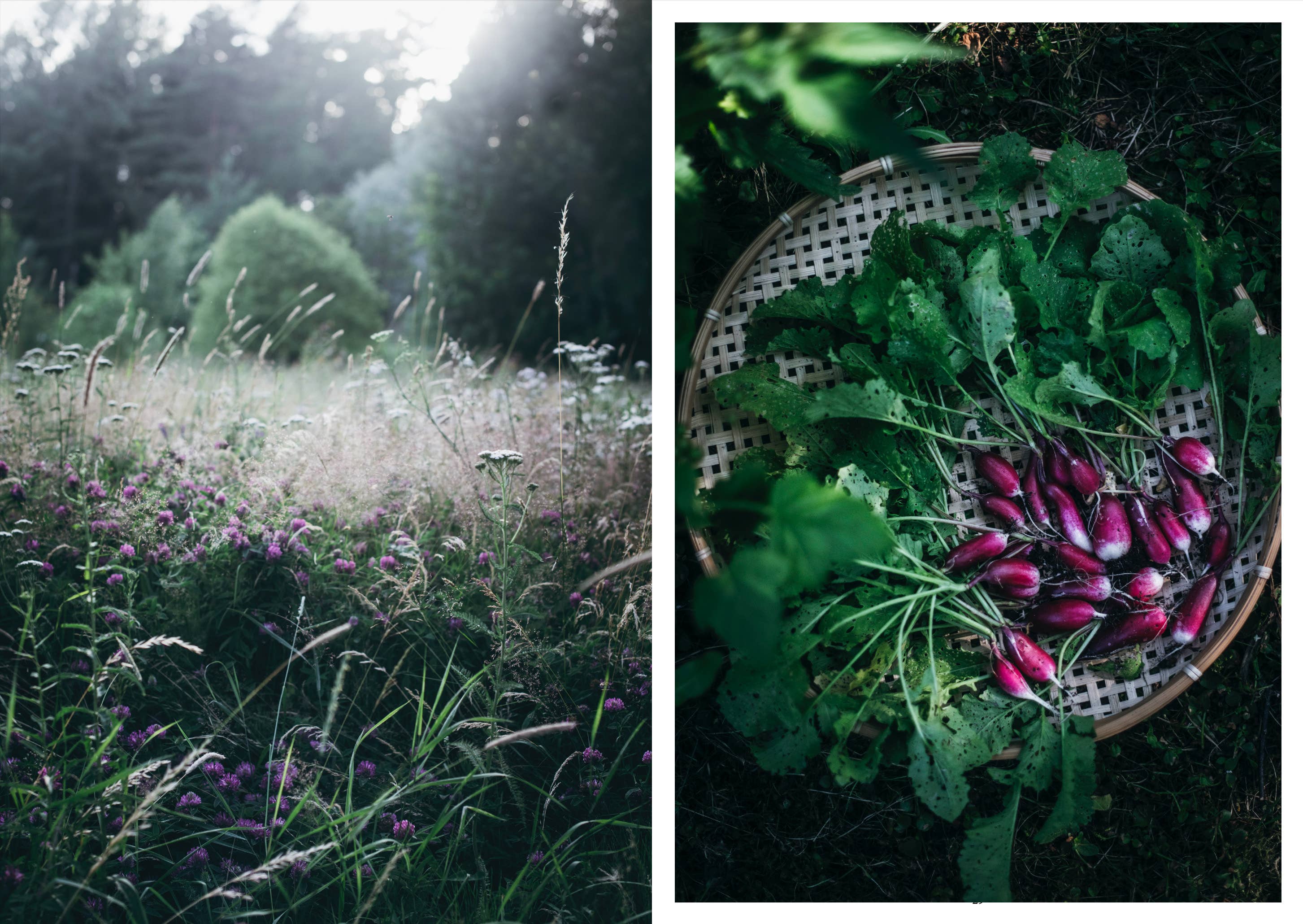 Cozy Publishing – Großhandel Kochbücher & Essen – Nordisches Sommerkochbuch6