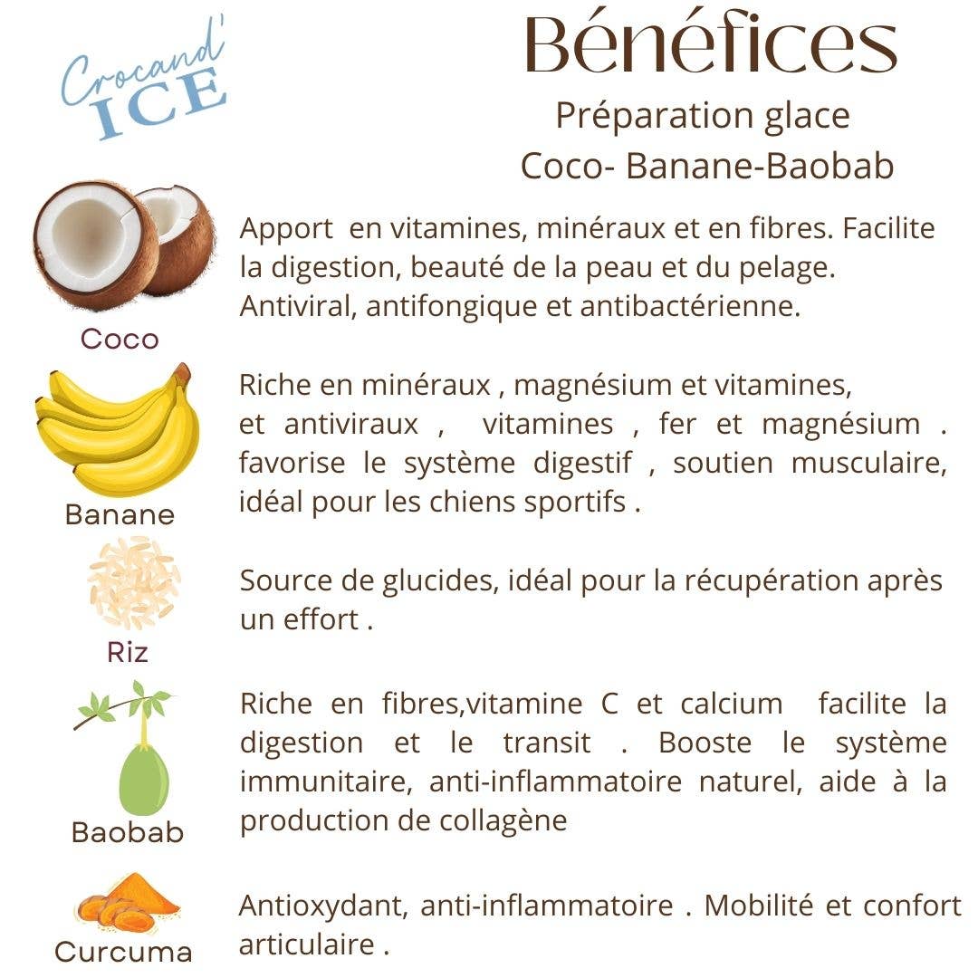 Crocandiz - Wholesale Pet Treats - Dog - Dog treat, Dog ice cream Coconut, Banana4