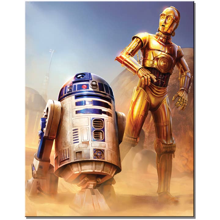 Star Wars C-3P0 & R2D2 for wholesale by Desperate Enterprises