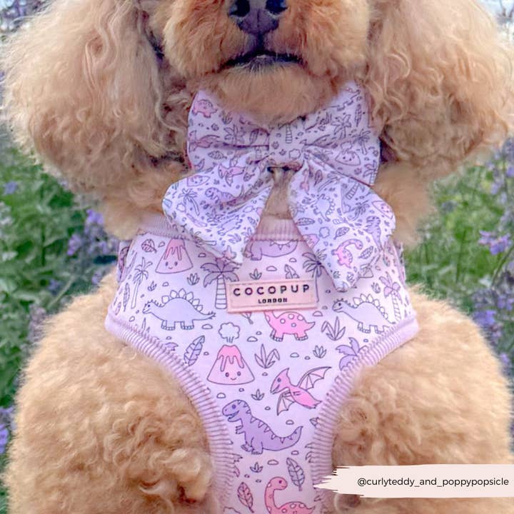 Princess Dino Sailor Bow Tie for wholesale by Cocopup London