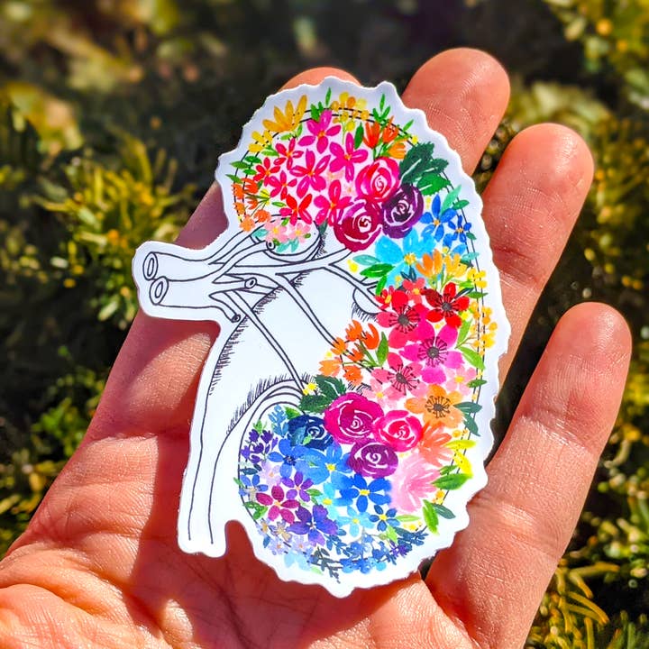 Anatomical Kidney Floral Vinyl Sticker for wholesale by Nina Belle Designs