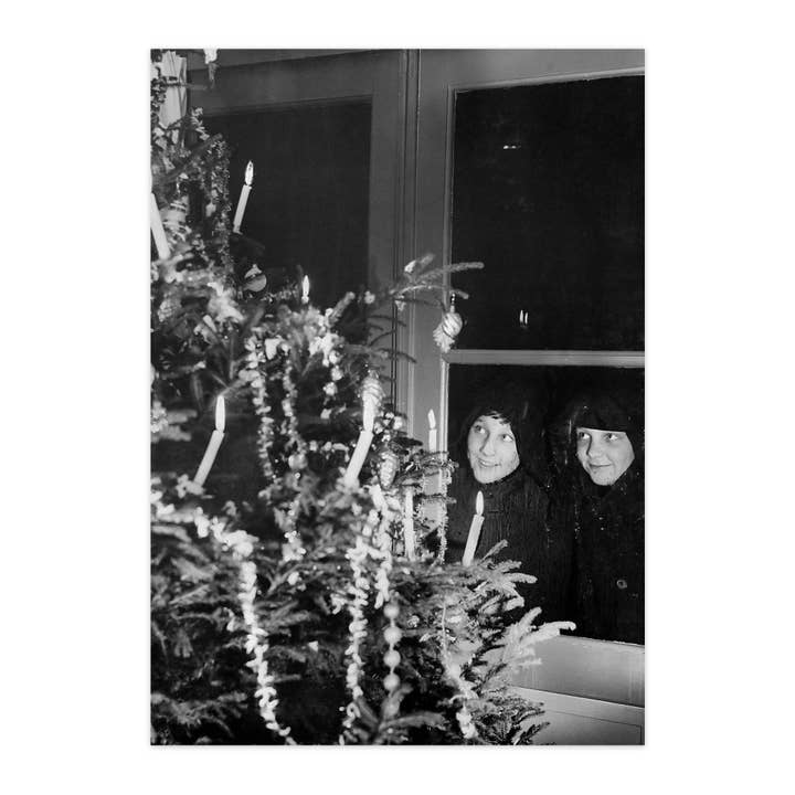 Ansichtkaart "Oh, deze boom!" voor wholesale door paruspaper. nutzfeine papeterie