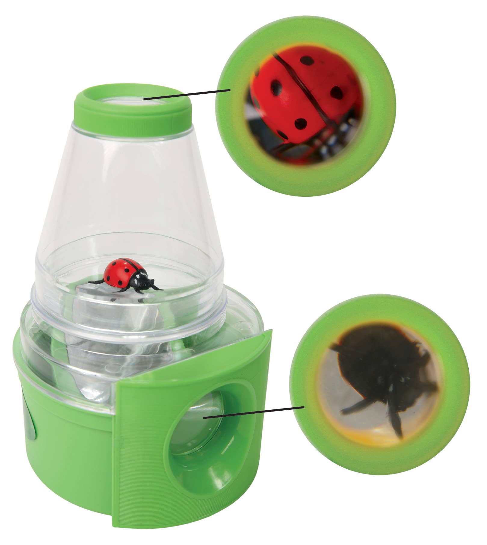 INSECT LORE - Wholesale Toy Set - Kids - Creature Peeper®4