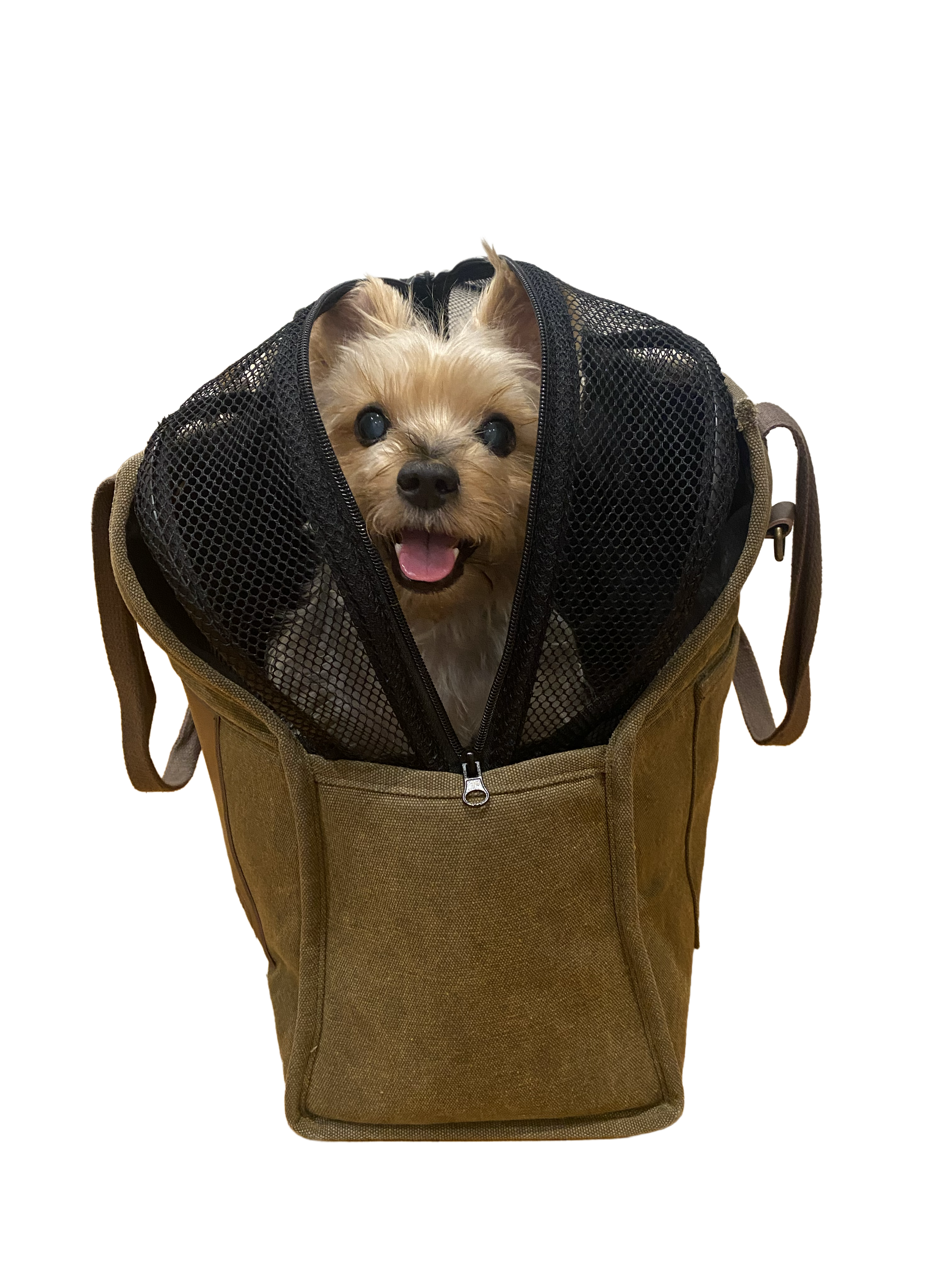 Bespoke Paws - Wholesale Pet Carrier - Cat/Dog - Jet-Setter Caddie carrier insert2