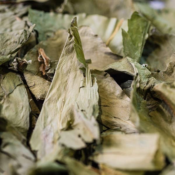 LE COMPTOIR D'HERBORISTERIE - Wholesale Health/Detox Tea - ORGANIC WILD GARLIC INFUSION AERIAL PART 40G1