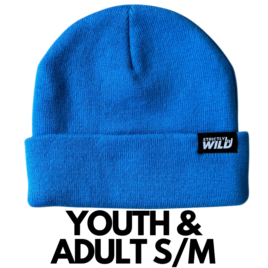 Strictly Wild - Wholesale Beanie - Kids - Blue Blitz Beanie3