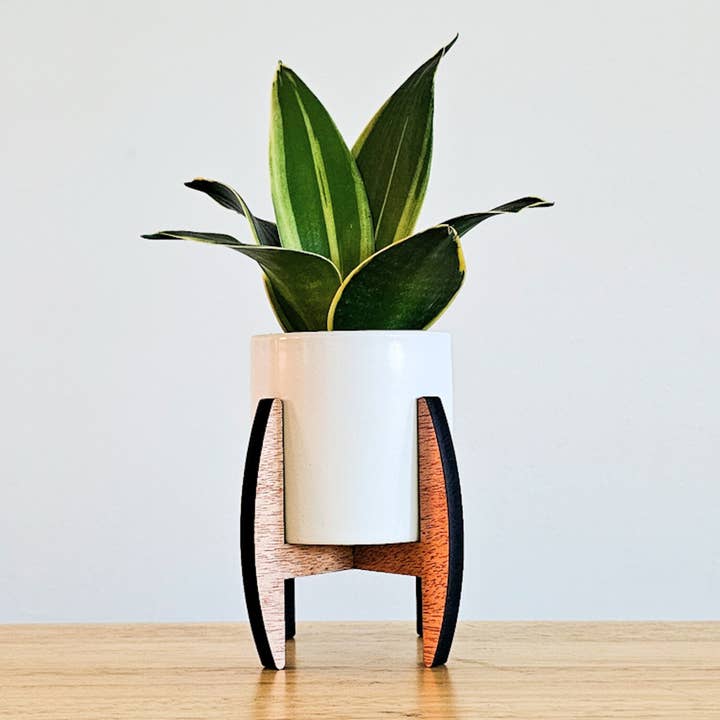 Mini Indoor Plant Stand with Pot - Curved Sides for wholesale by Leaf & Node