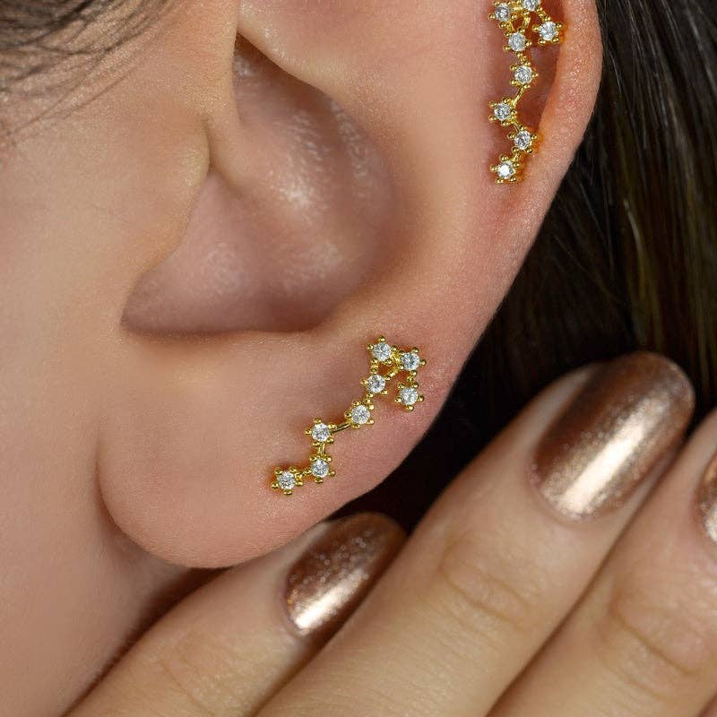 StockJWL - Wholesale Stud/Post Earrings - 12 Zodiac Earrings, Constellation Stud Earring Stud Piercing Tragus Helix Lobe and Cartilage Silver And Gold45