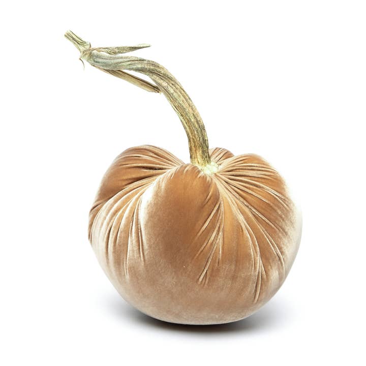 Hot Skwash - Wholesale Decorative Tabletop Object - Latte Silk Velvet Pumpkin1