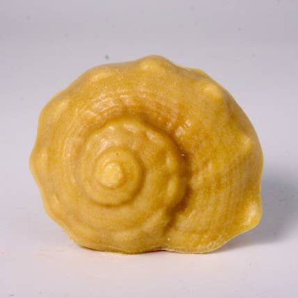 Shell - Tropical Beach for wholesale by Simple Soaps For Simple Folks