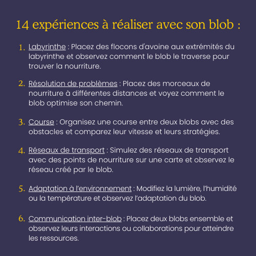 MISTER BLOB - Wholesale DIY Craft Kit - Kids - The eco blob kit4