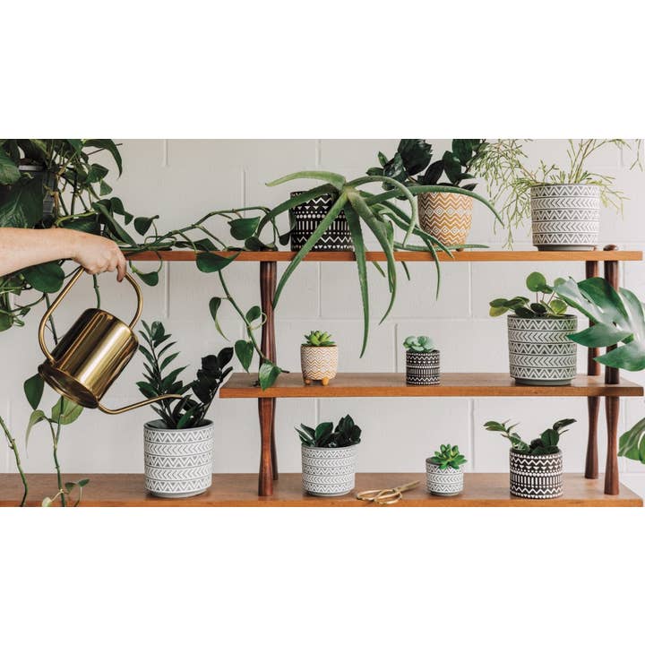 Danica Outlet Store - Wholesale Plant Pot - Heirloom Brown Spark Spark Plant 5.25 inch1