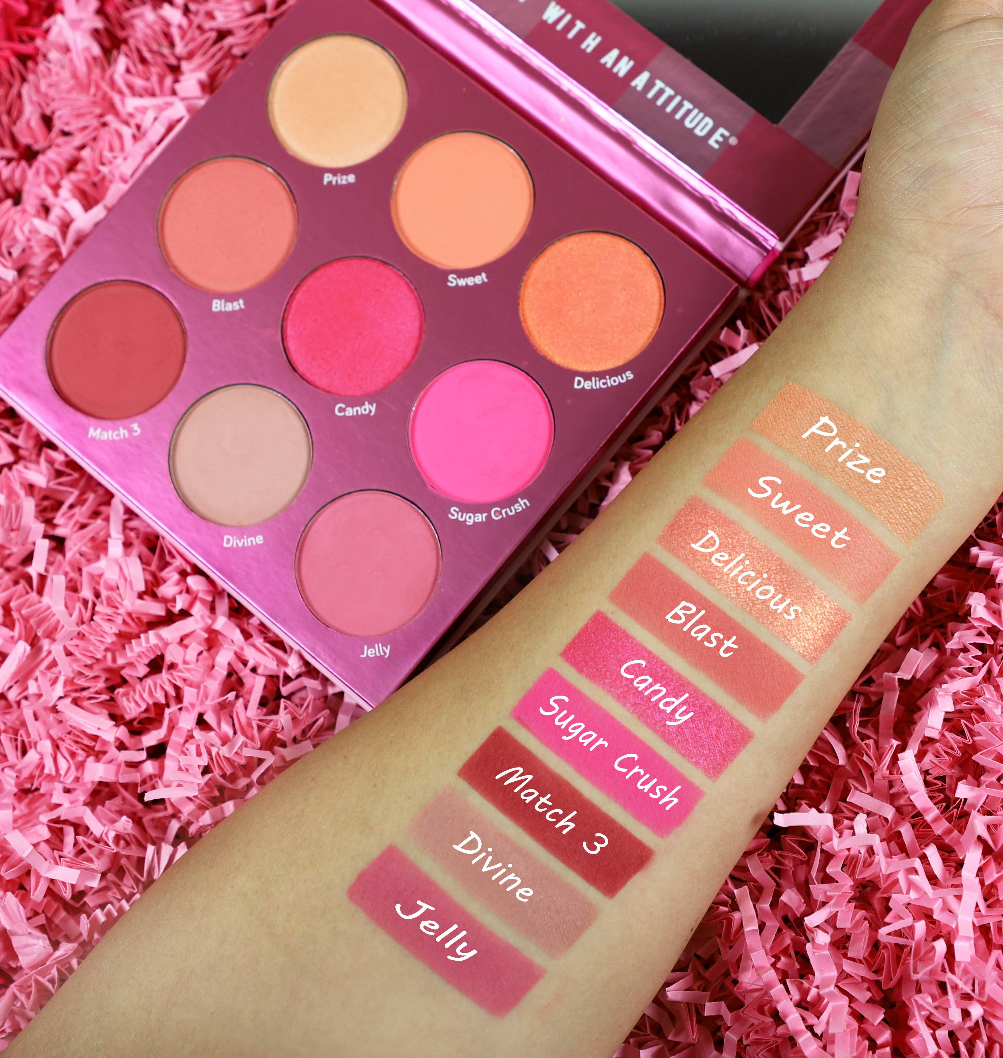 Rude Cosmetics - Vente Blush/fards à joues - Blush Crush 9 couleurs Blush Palette - Match Three1