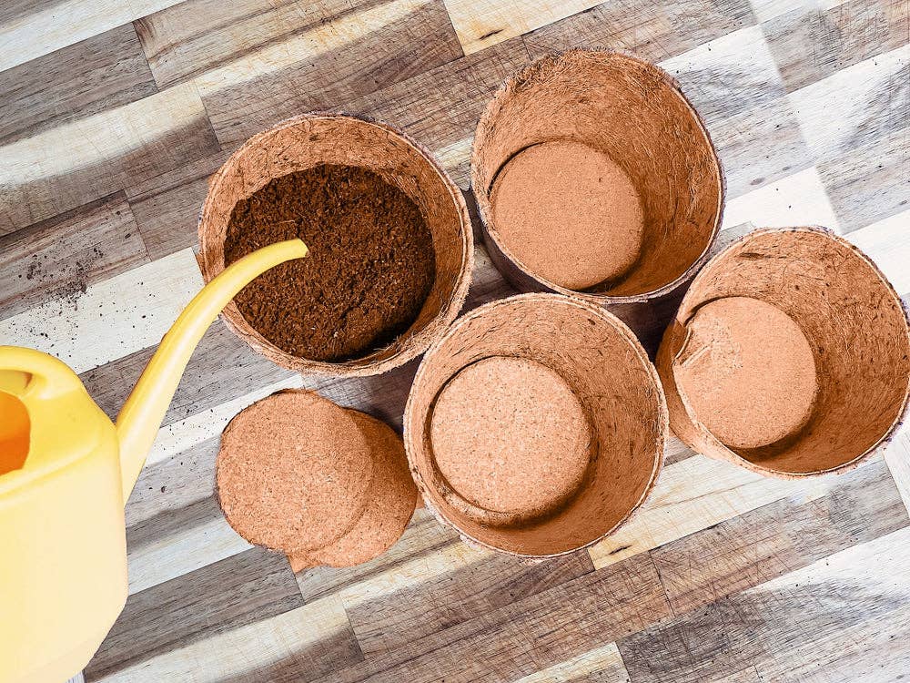 Coir Grow Discs 4 Inches for wholesale on Faire15