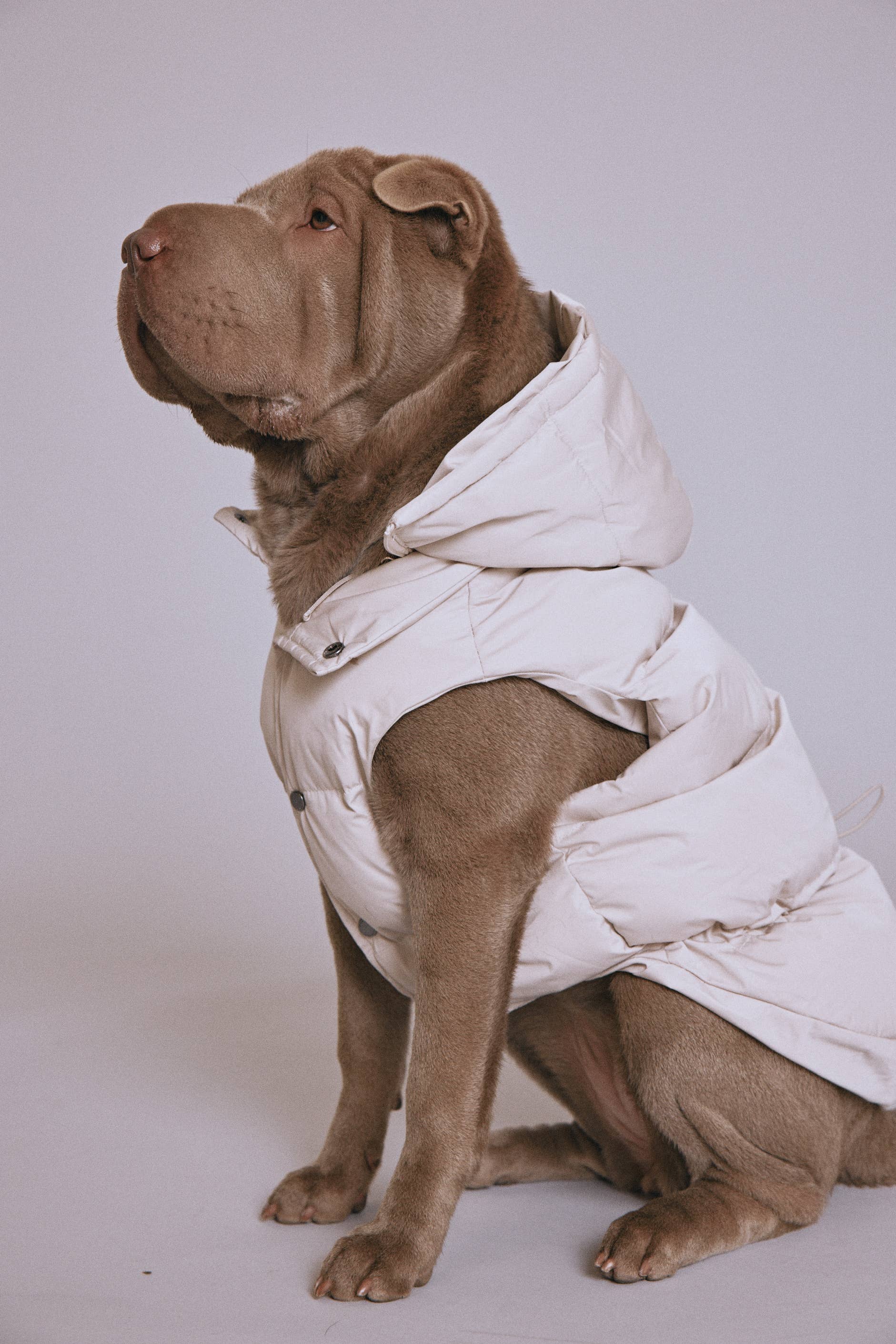 Chaleco caliente para perro mascota ropa algodón cachorros disfraz animal atuendo invierno Ha 