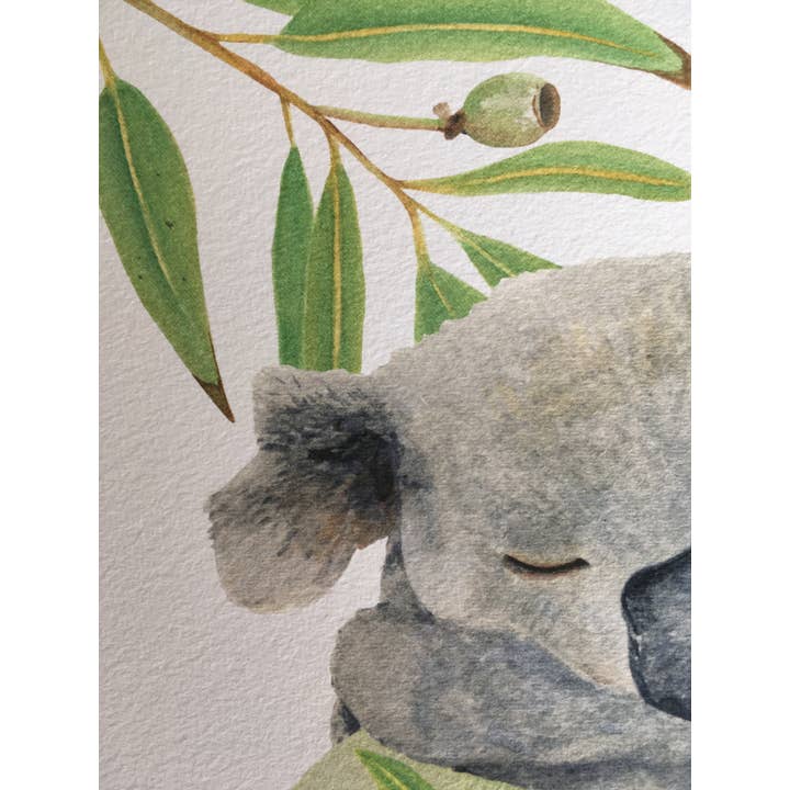 Olicas Art and Design - Wholesale Art print - Koala Watercolour Print A42