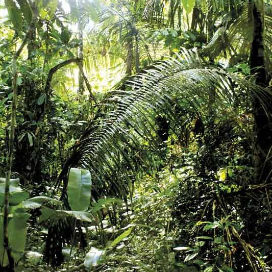 À la Selva pour la vente par Gipsyhearts.com