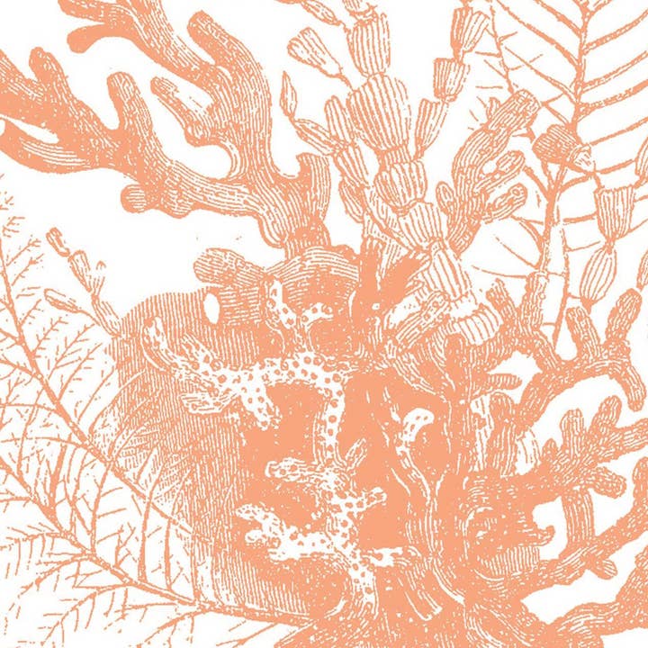 Coral Bouquet for wholesale by Bien Ecrit