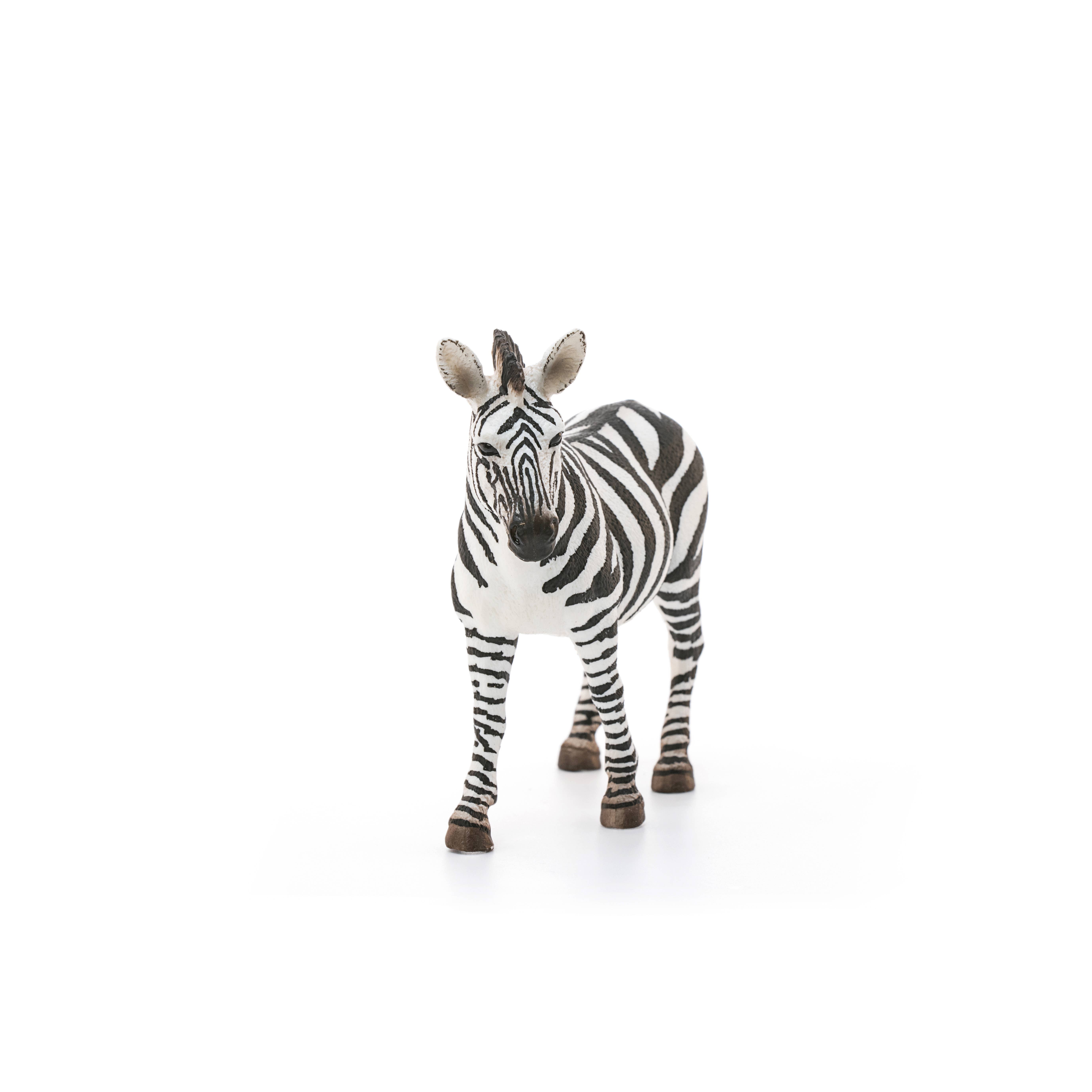 Schleich - Wholesale Figurine Toy - Kids - Zebra, Female Safari Animal Toy1