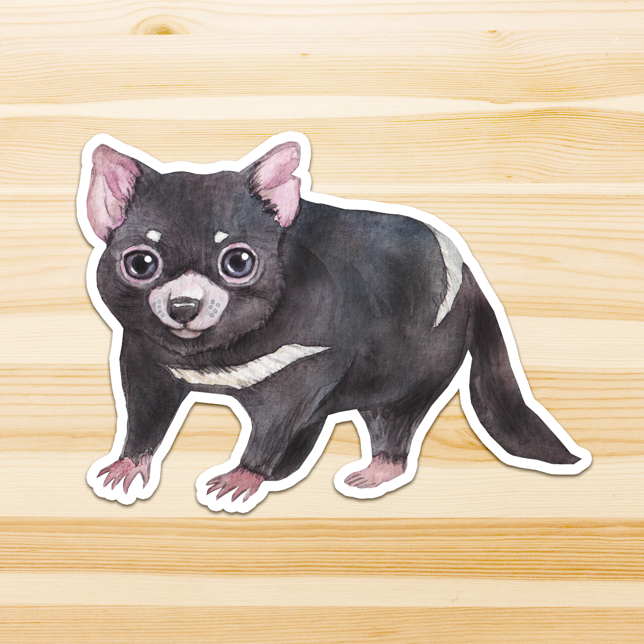 Watercolour By Cat - Wholesale Sticker - Large Australian Animal Vinyl Sticker0