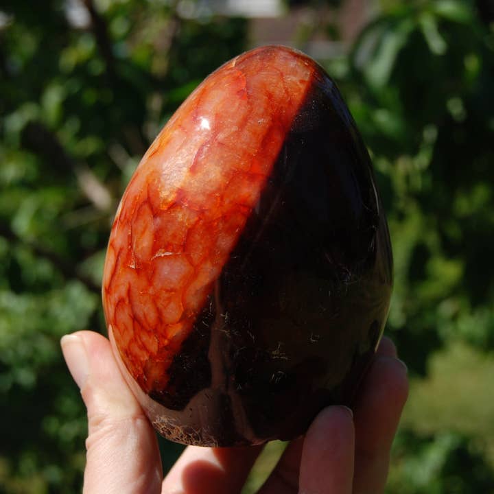 2.3LB XL Red Carnelian Crystal Freeform Tower, Madagascar for wholesale by Caspar Curiosities