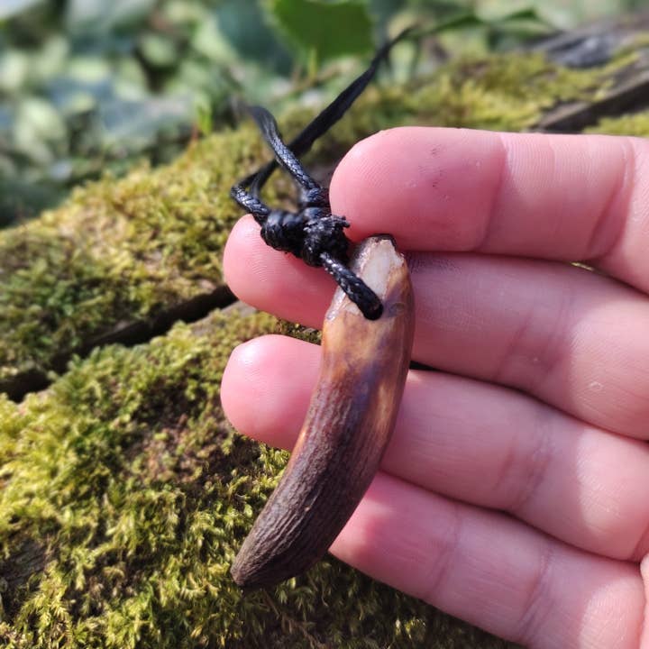 Jardin des Druides - Vente Colliers à pendentif - Collier Dent de Sanglier1