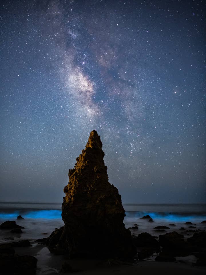 Los Angeles Poster - Biolumineszenz mit der Milchstraße für den Großhandel von Posters & Puzzles