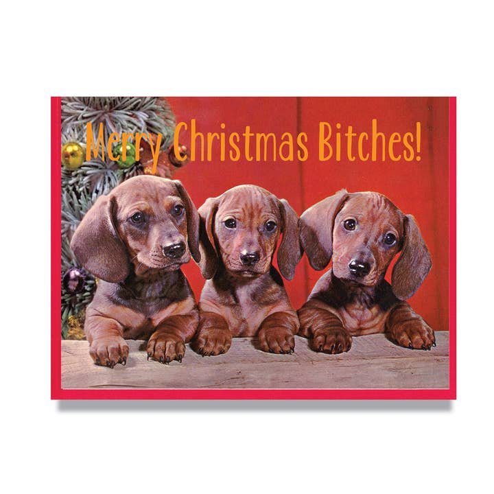 Merry Christmas Bitches Card for wholesale by Smitten Kitten