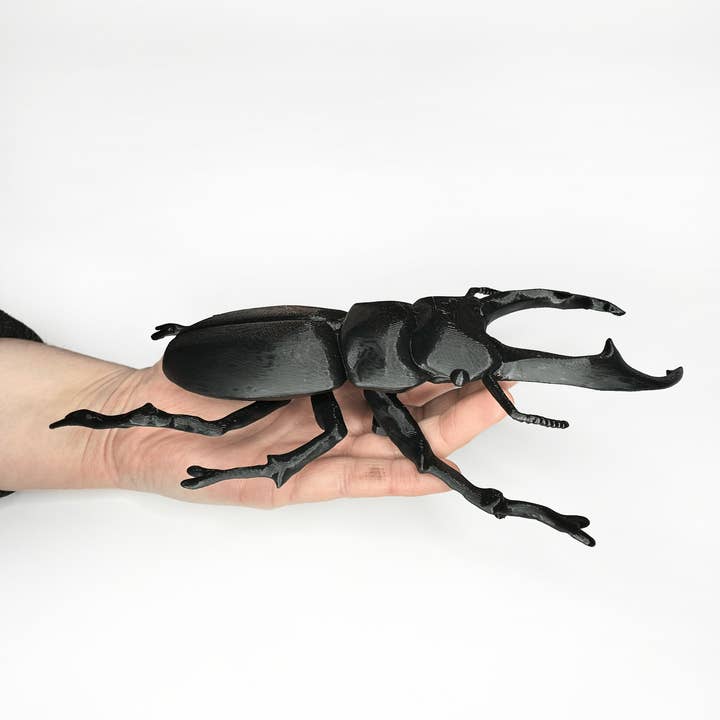Faux Theory Design - Wholesale Wall decor – Kids & Baby - 3D Printed Giant Beetles: Hercules Beetle & Stag Beetle6