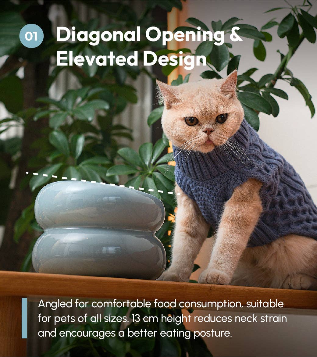 PEHOM – Engroshandel Madskål - Kat/hund – Soufflé hundeskål - Frostet blå9