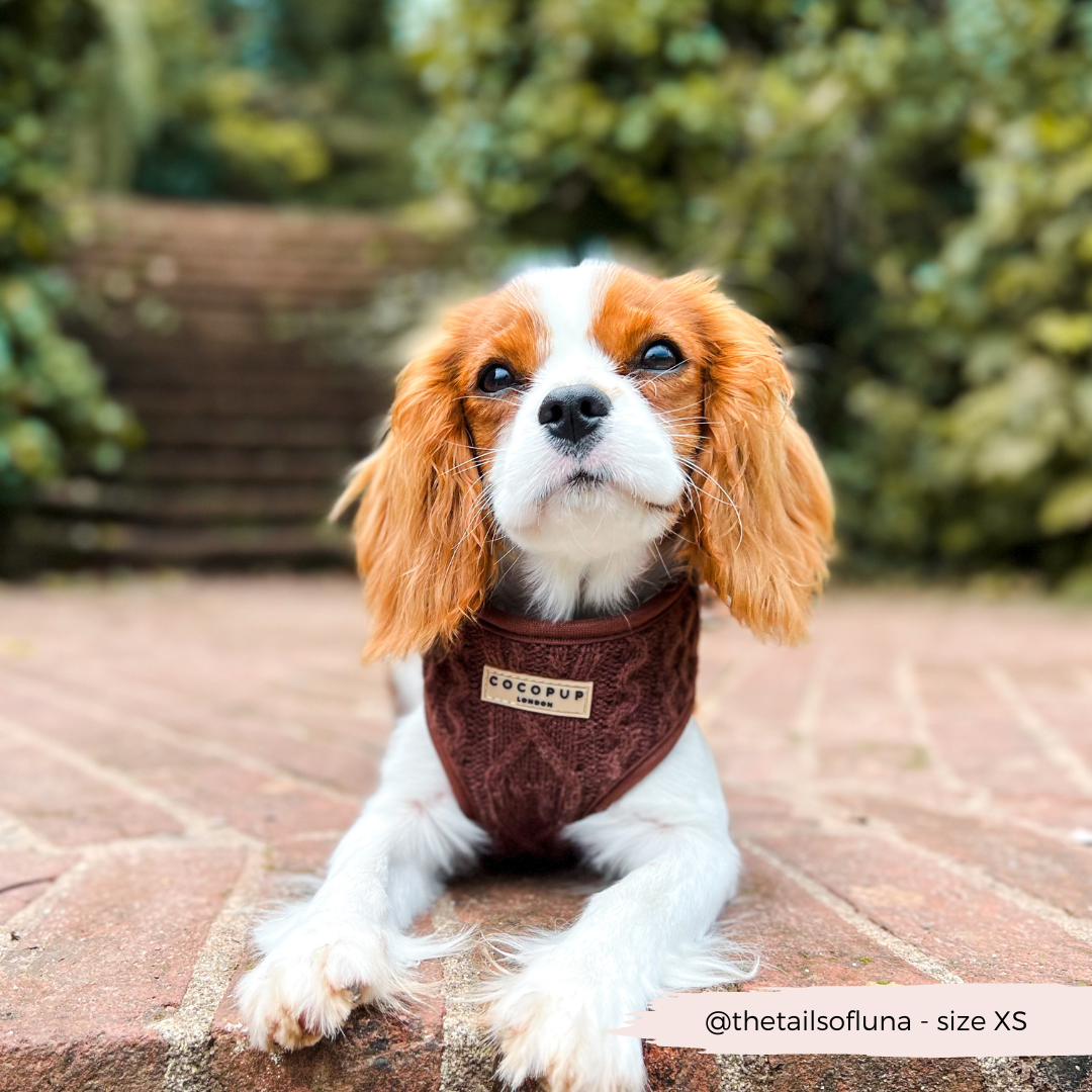 Cocopup London - Vente Harnais – chien - Harnais à col réglable en tricot torsadé couleur chocolat - Hot Coco13