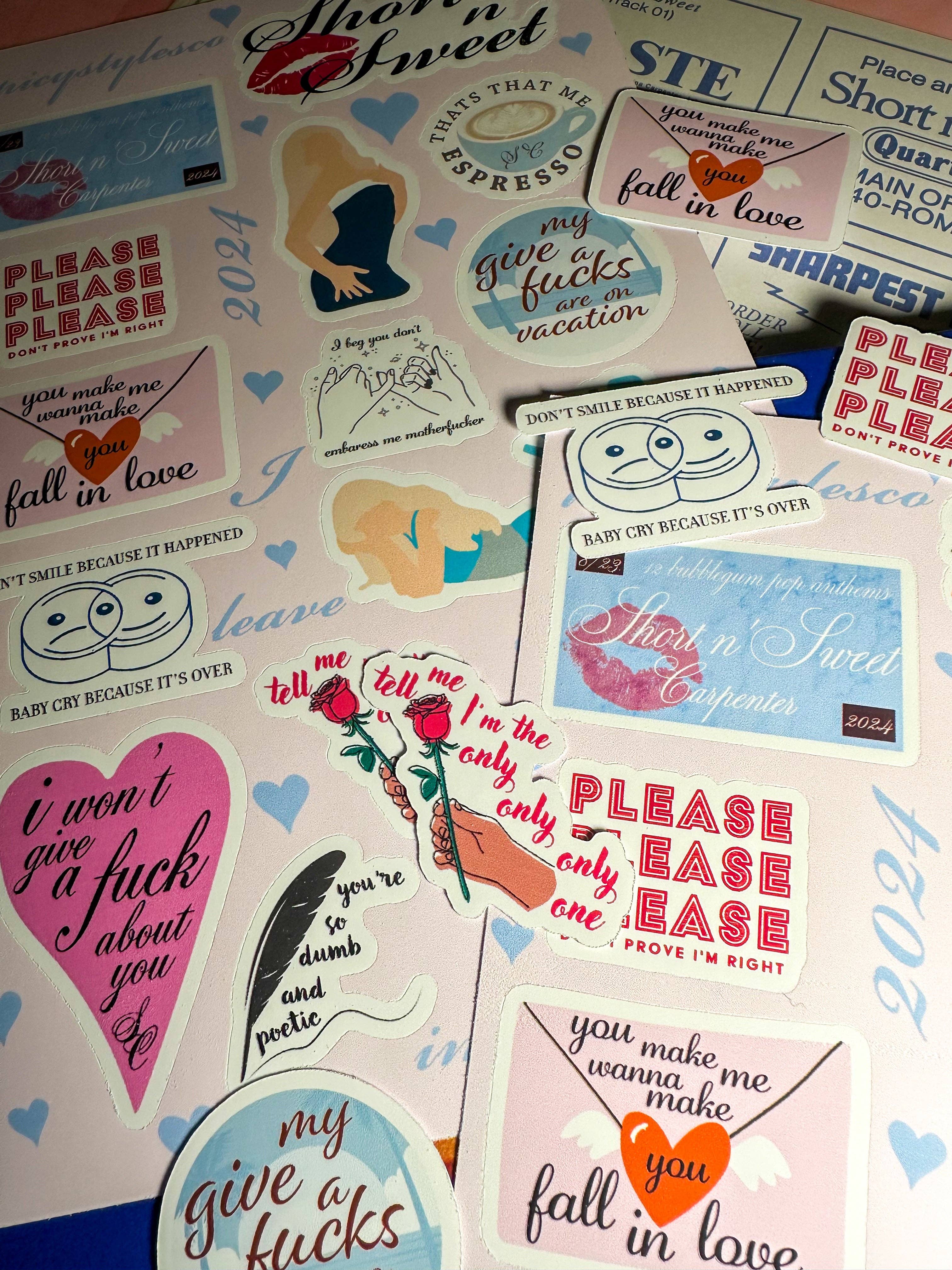 SpicyStylesCo – wholesale Sticker – short n'sweet SC6 sticker sheet4