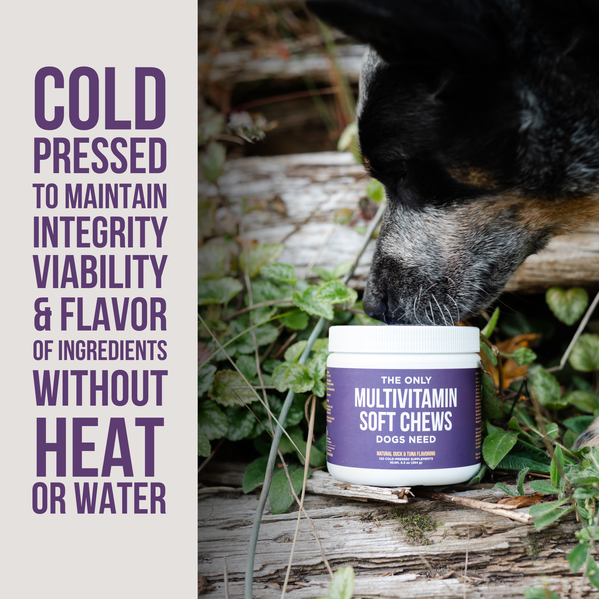 Natural Rapport - Wholesale Pet Supplement - Dog - The Only Multivitamin Soft Chews Dogs Need2